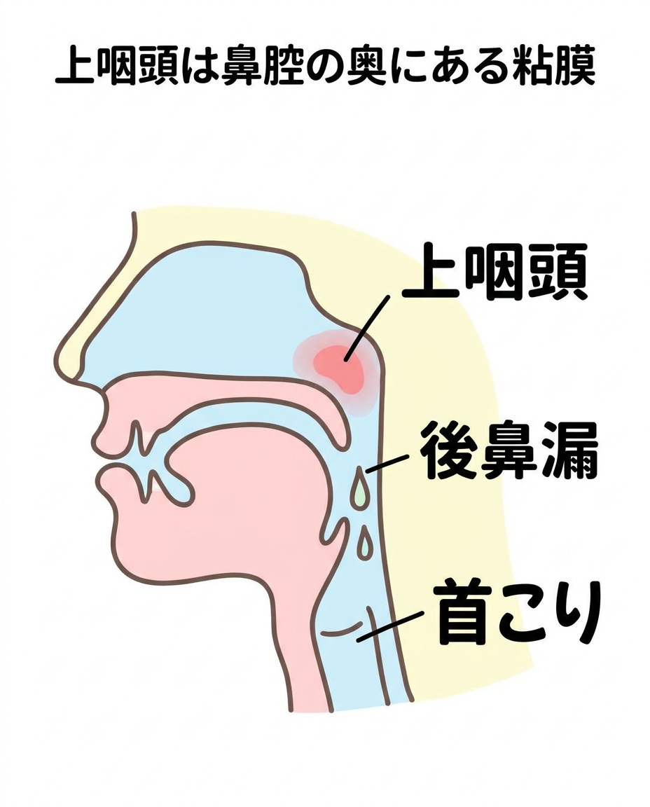 section-image