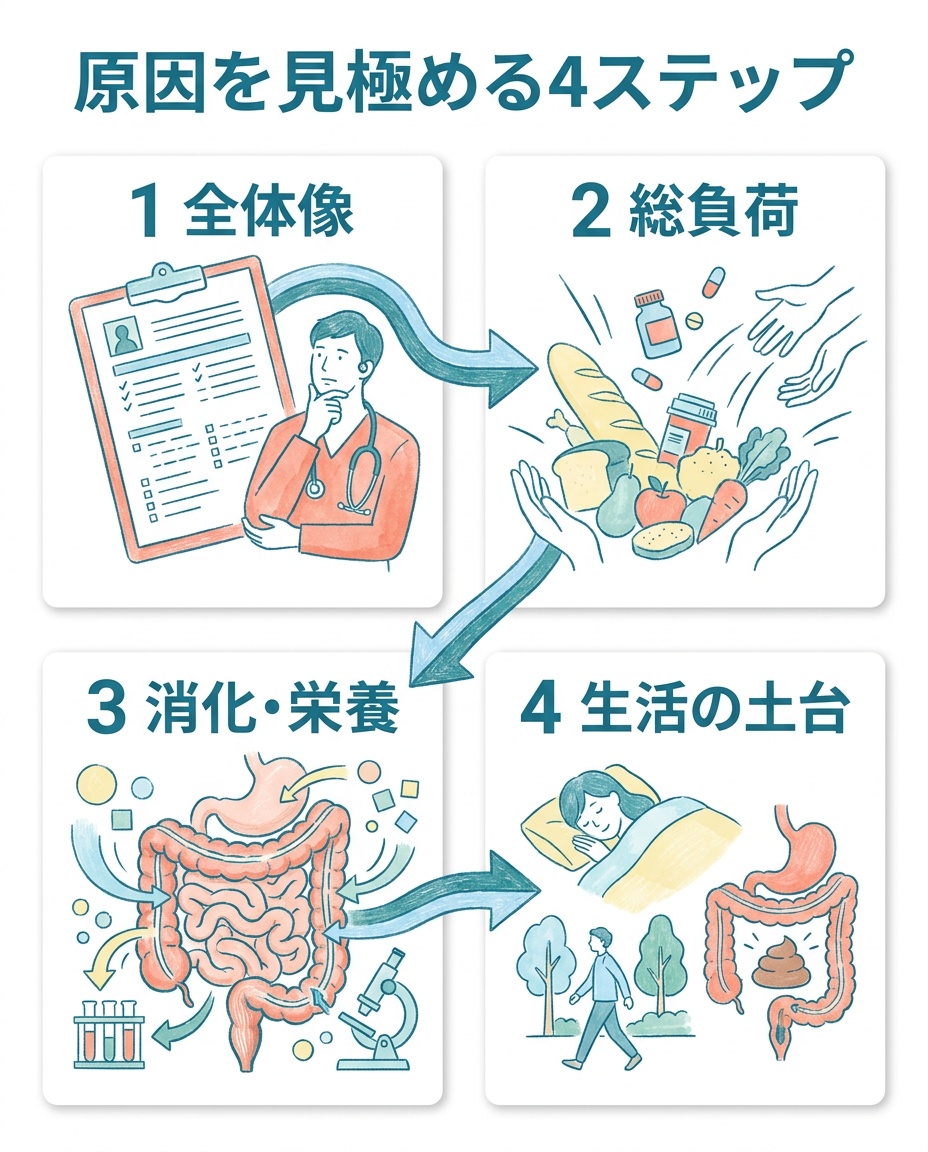 腸バリアを見直す4ステップ